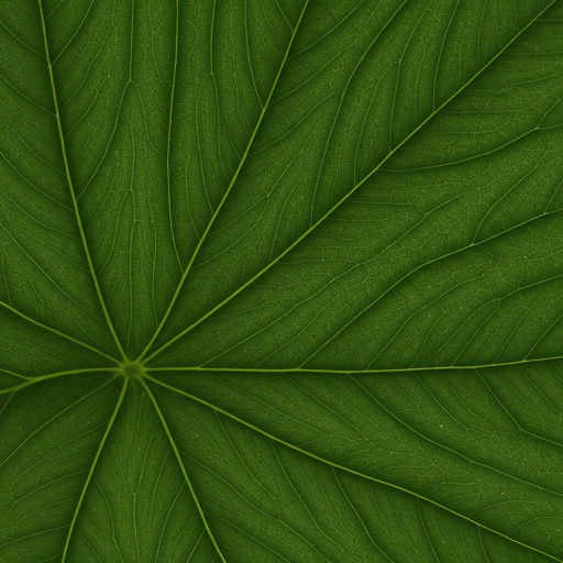 Green Leaf Detail